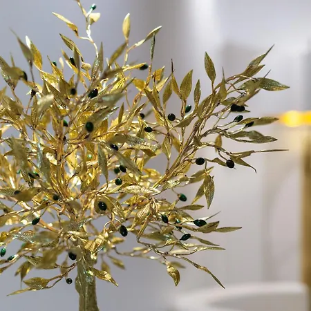 Galaxias 3* Rhodes City